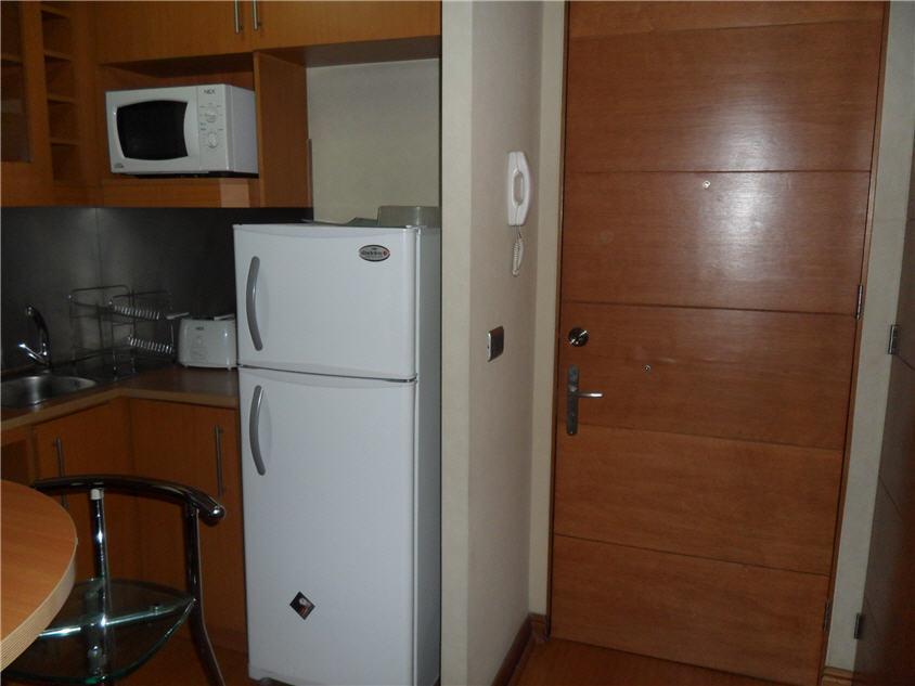 Providencia Suite Diego De Velasquez Santiago del Cile Esterno foto