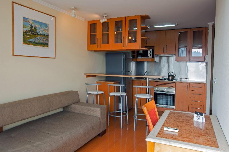 Providencia Suite Diego De Velasquez Santiago del Cile Esterno foto